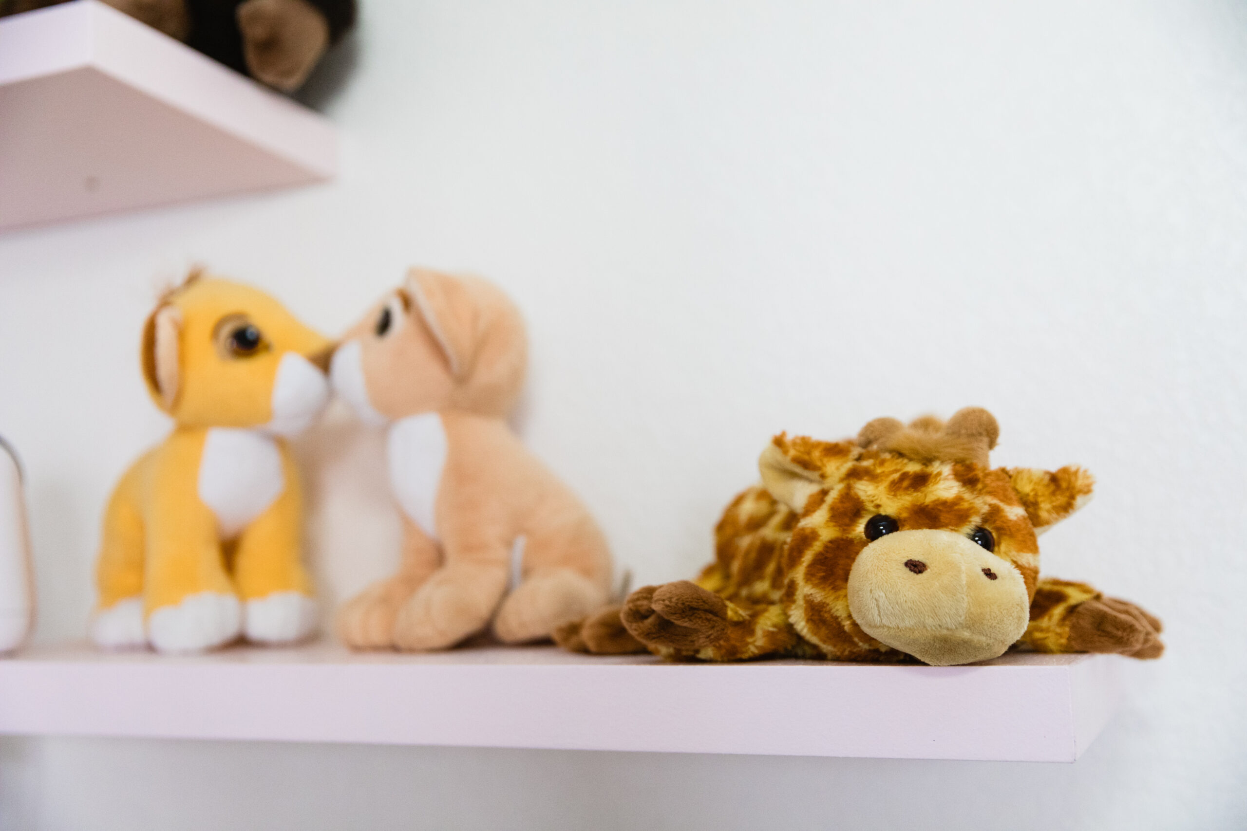Detail image of nursery stuffed animals during In-Home Newborn session by Juniper and Co Photography.