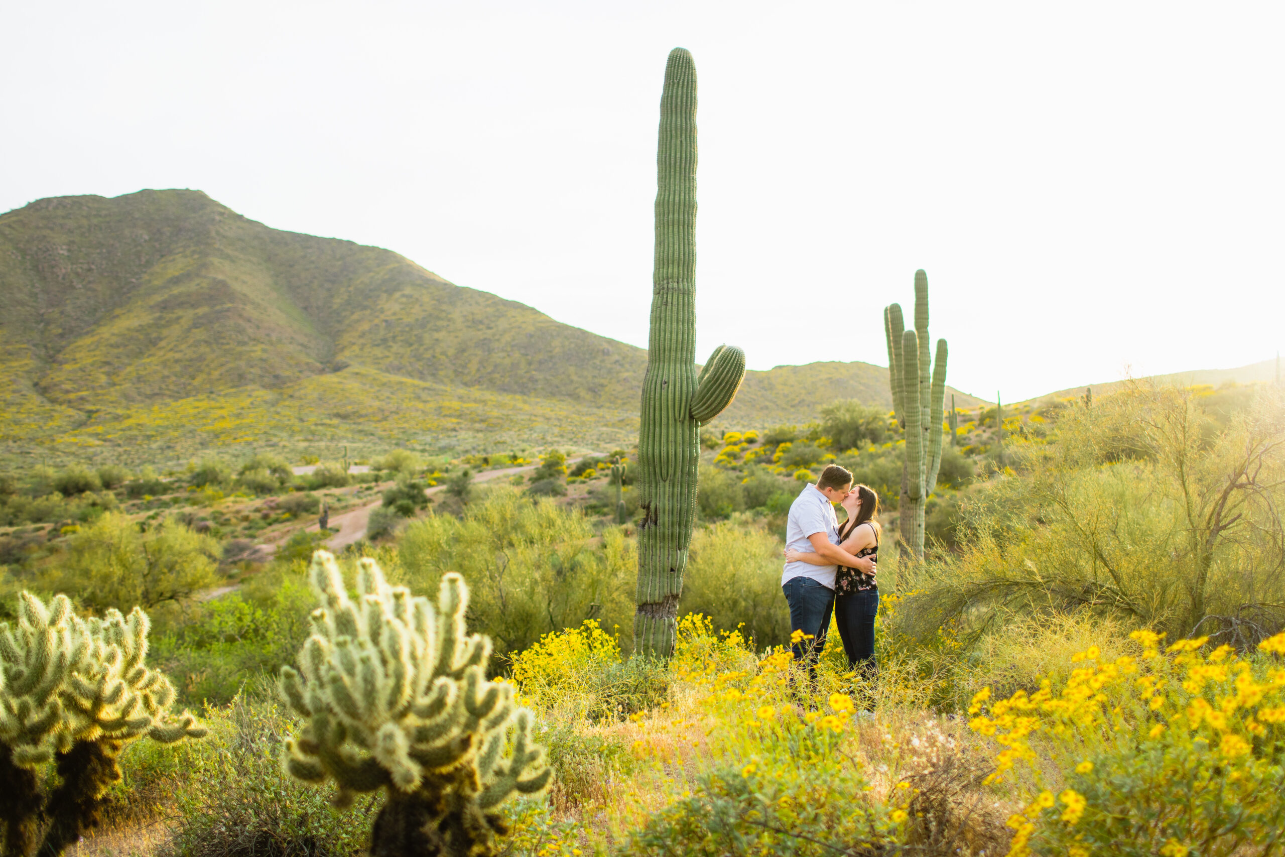 Couple share a kiss during their desert wildflower engagement session by Arizona wedding photographer Juniper and Co Photography.