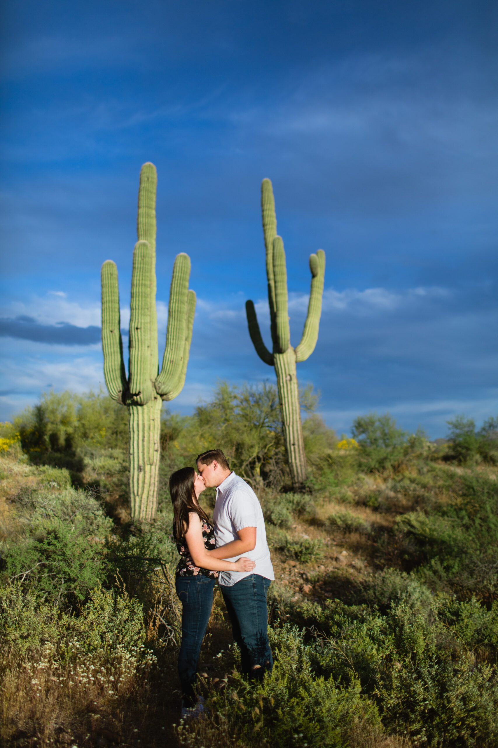 Couple share a kiss during their desert wildflower engagement session by Arizona wedding photographer Juniper and Co Photography.