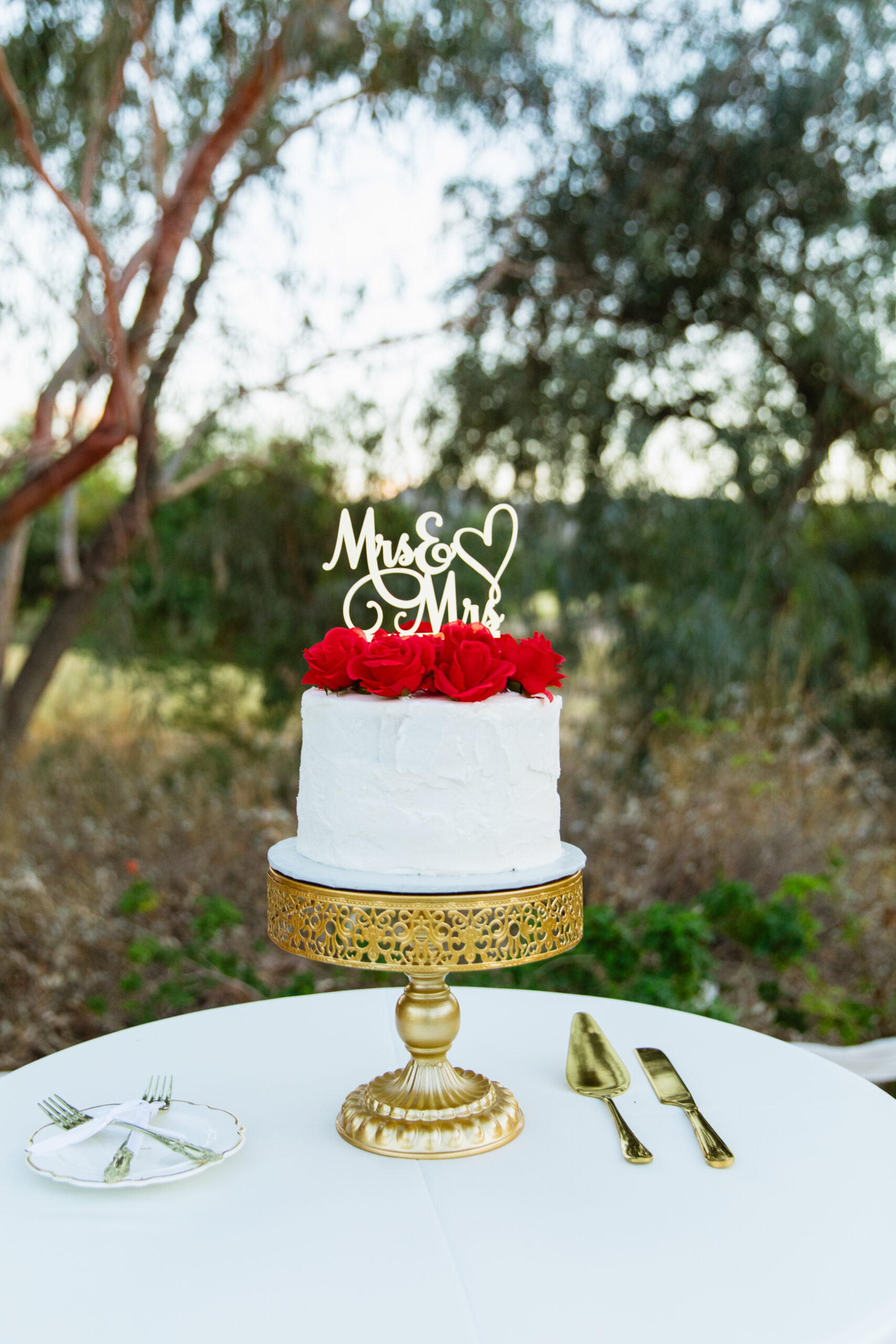 Classic wedding cake by Arizona wedding photographer Juniper and Co Photography.