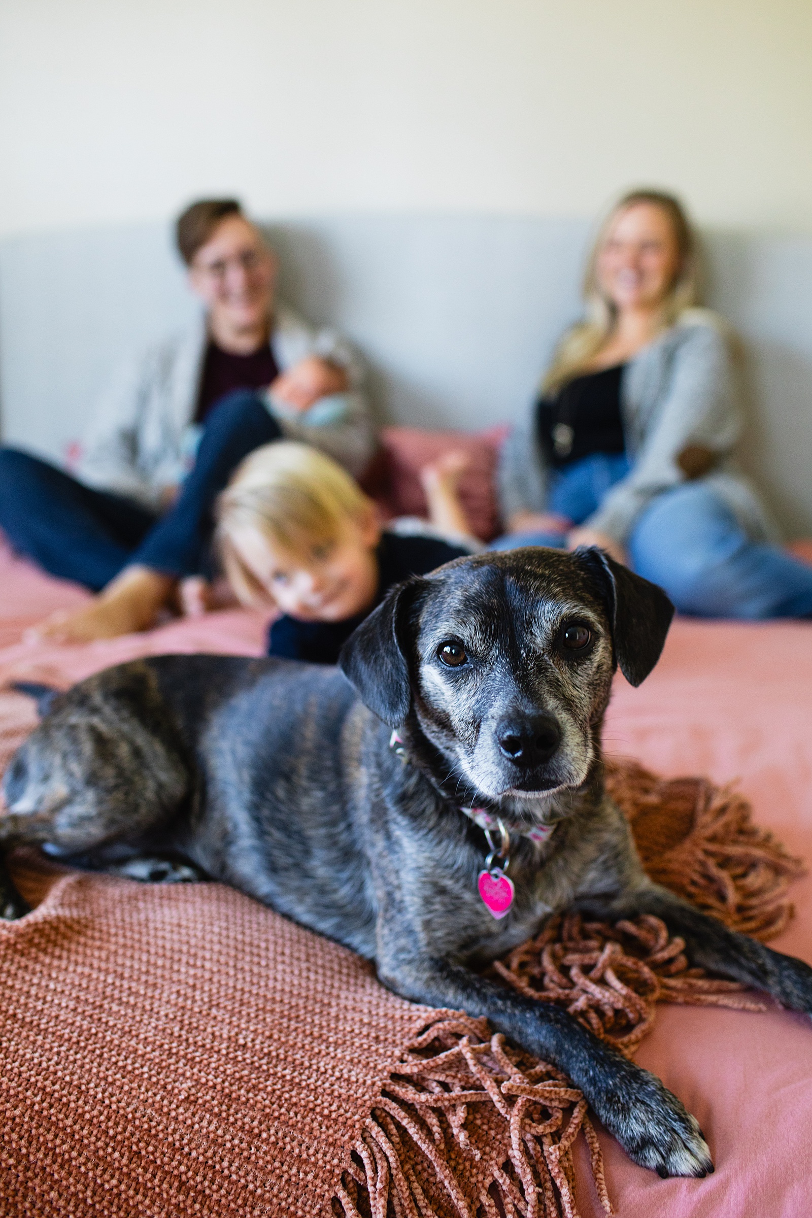 Detail image of family's pet portrait by Juniper and Co Photography.